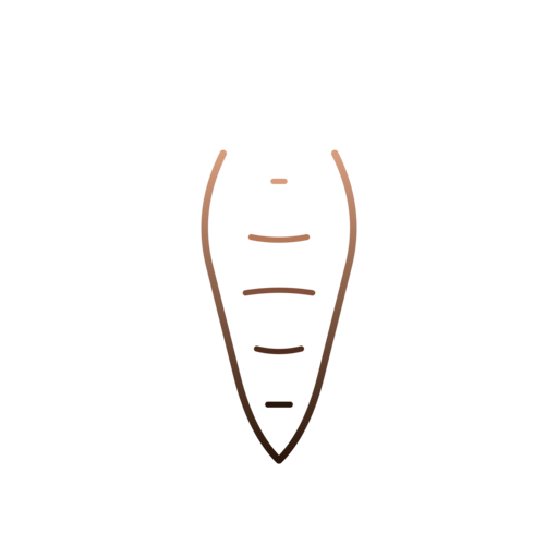 Логотип Bestflow Prism